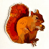 Squirrel Sticker